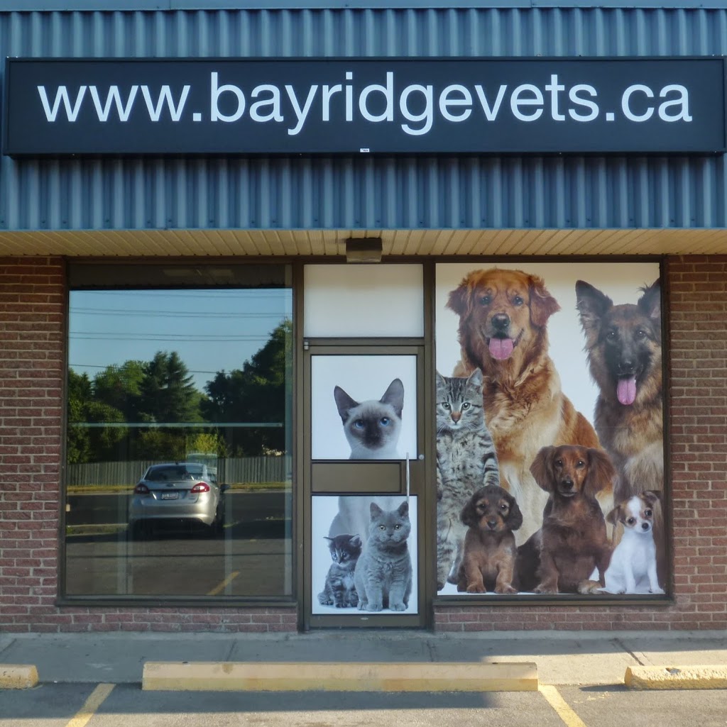 Bayridge Animal Hospital | 732 Milford Dr, Kingston, ON K7P 1C6, Canada | Phone: (613) 634-2001