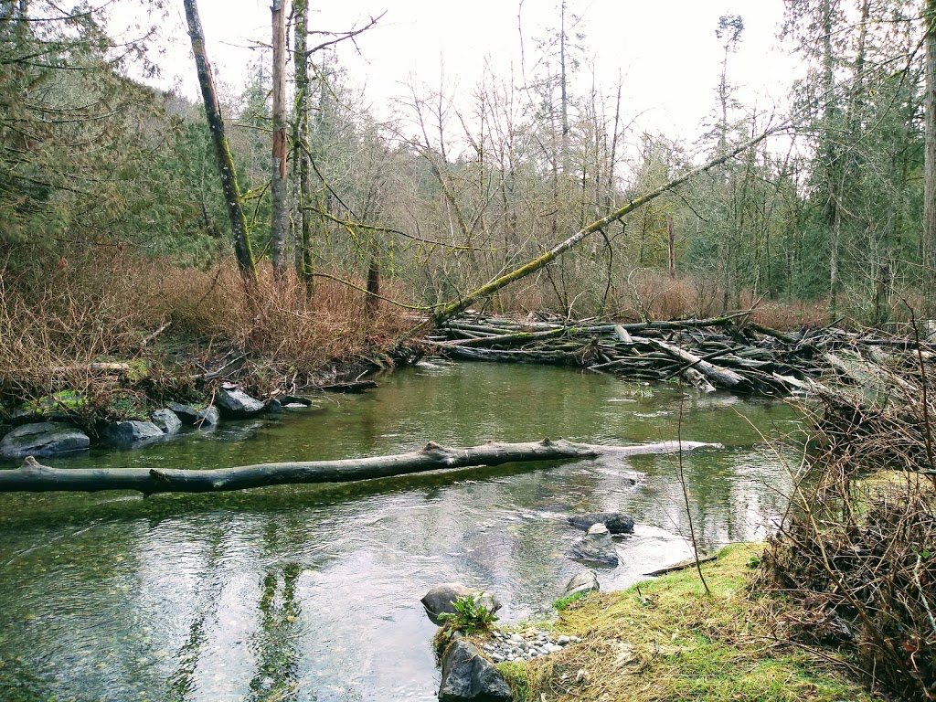 Goldstream Provincial Park | Langford, BC, Canada