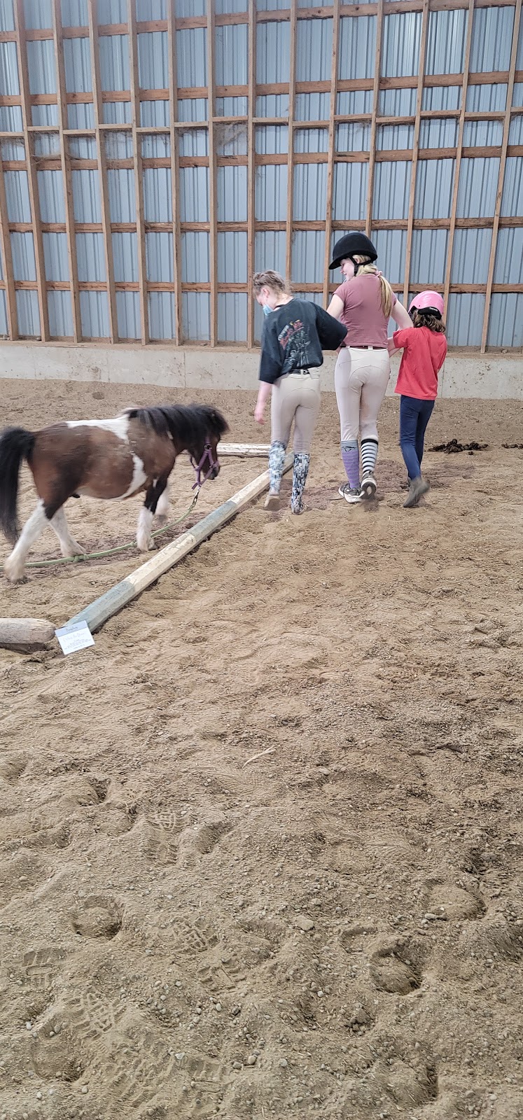 Transitions Equine Assisted Learning | 675671 16 Line, Innerkip, ON N0J 1M0, Canada | Phone: (226) 232-5410