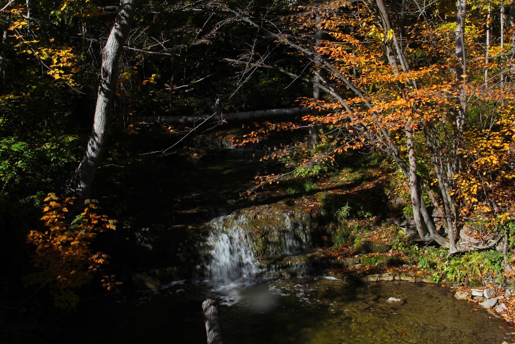 Silver Creek Conservation Area | Fallbrook Trail & Side Rd 27, Halton Hills, ON L7G 4S4, Canada | Phone: (800) 367-0890
