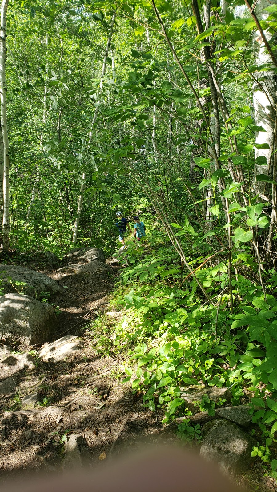 McGillivray Falls Self-guiding Trail | Provincial Trunk Hwy 44, Falcon Beach, MB R0E 0N0, Canada | Phone: (204) 369-3157