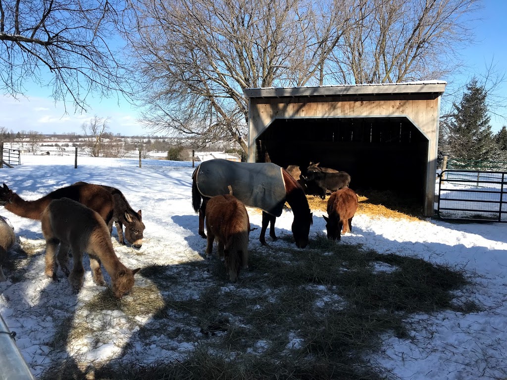 Mordens Organic Farm Store | 801 Collinson Rd, Dundas, ON L9H 5E2, Canada | Phone: (905) 627-4774