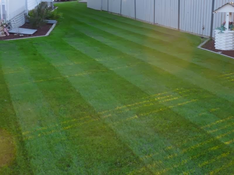 Scotts Quality Lawn Care | 5234 46 St, Camrose, AB T4V 1H3, Canada | Phone: (780) 678-6450