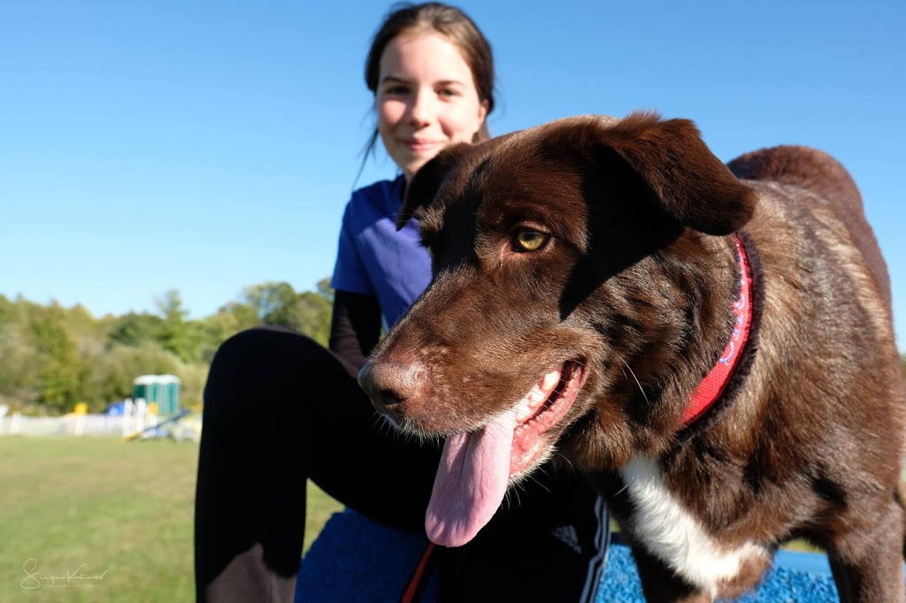 Professionnel Légitime Canin | 230 Rang de la Montagne, Rougemont, QC J0L 1M0, Canada | Phone: (514) 922-2752