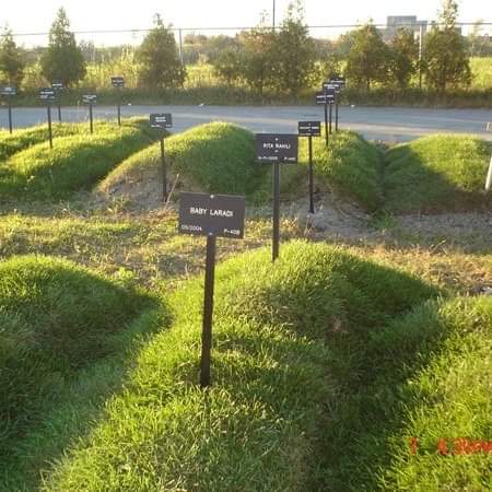 Cimetière islamique du Québec | 1099 Montée Masson, Laval, QC H7C 1S3, Canada | Phone: (514) 586-0491