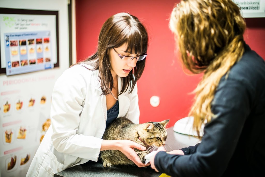 Woodlawn Veterinary Hospital | 485 Silvercreek Pkwy N, Guelph, ON N1H 7K5, Canada | Phone: (519) 821-6565