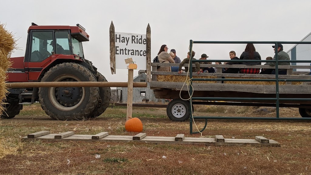 Molnars Pumpkin Festival | Range Rd 173, Barnwell, AB T0K 0B0, Canada | Phone: (403) 315-0728