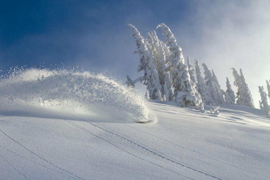 Monashee Power Snowcats | North Okanagan E, BC V0E 2S0, Canada | Phone: (866) 678-7669