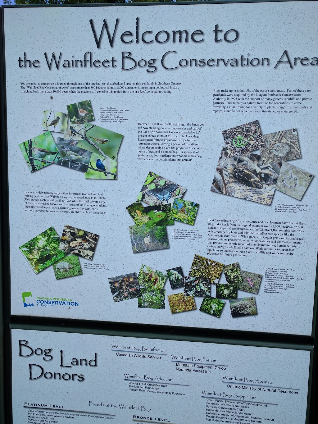 Wainfleet Bog | 20472-, 20500 Erie Peat Rd, Wainfleet, ON, Canada