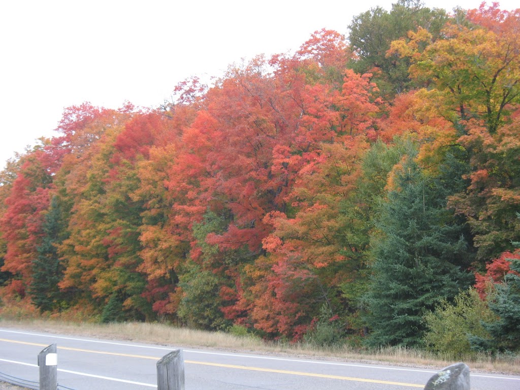 Stone Ridge Chalet B&B - 4 Room Suite | 20247 ON-35, Dorset, ON P0A 1E0, Canada | Phone: (705) 766-0657