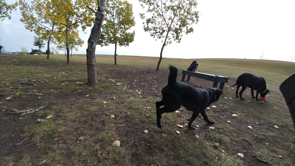 Mcknight/Falconridge Dog Park | 111 Falwood Way NE, Calgary, AB T3J 1A8, Canada