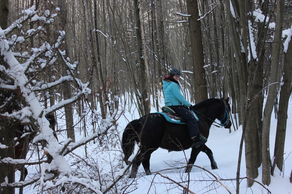 Équitation Mel Gauthier M.M.G. | 1221 Chemin Pincourt, Mascouche, QC J7L 2X8, Canada | Phone: (514) 625-5534