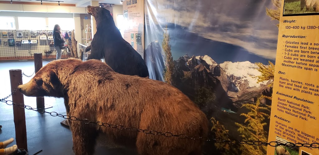 WILDLIFE INTERPRETIVE CENTRE at Lake Louise Ski Resort | Lake Louise, AB T0L, Canada | Phone: (877) 956-8473