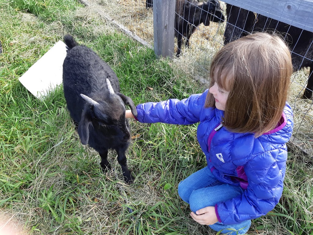 La ferme Pélipa | 1120 Rue Saint-Aimé, Saint-Lambert-de-Lauzon, QC G0S 2W0, Canada | Phone: (581) 888-1452