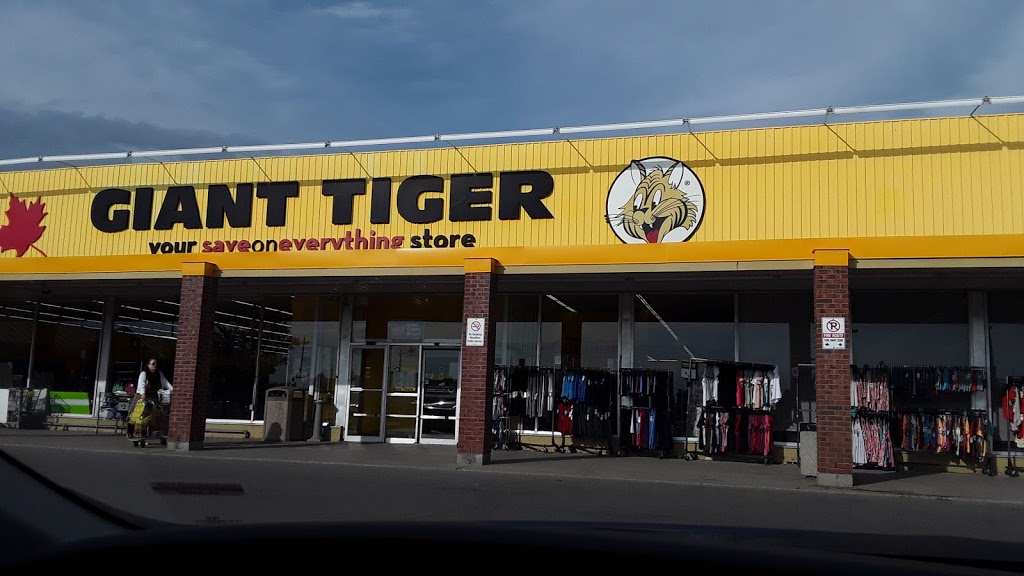 Giant Tiger | 130 Davis Dr, Newmarket, ON L3Y 2N1, Canada | Phone: (905) 830-6074