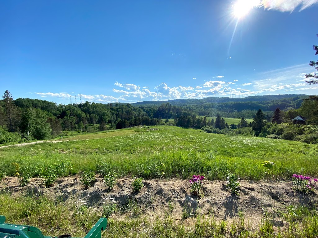 Cabane à Sucre - Ferme 5 Etoiles | 465 172 St N, Sacré-Coeur, QC G0T 1Y0, Canada | Phone: (877) 236-4551