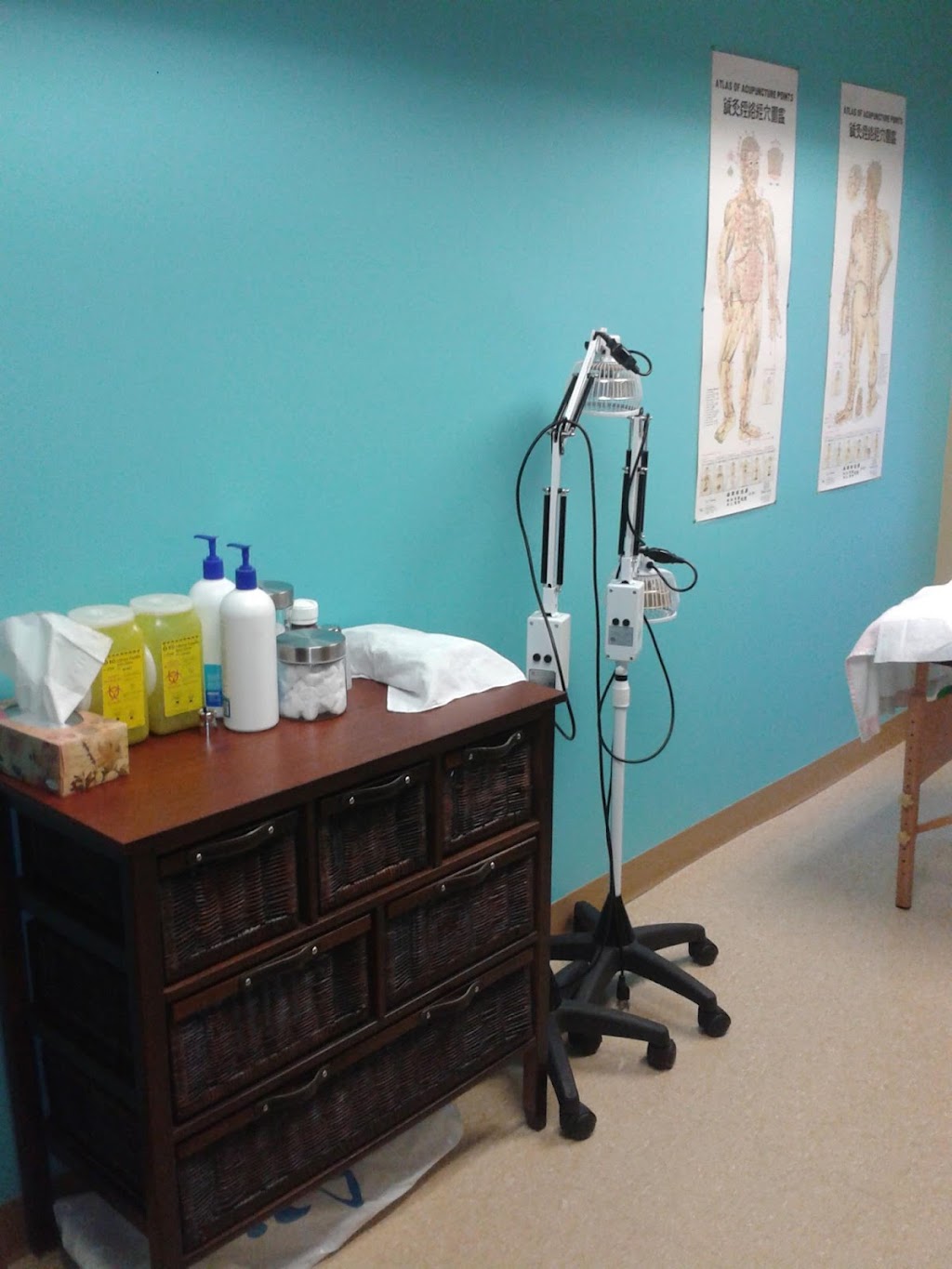 Acupuncture Marie-Pier Racine | 434 Bd Labelle, Prévost, QC J0R 1T0, Canada | Phone: (450) 822-2677