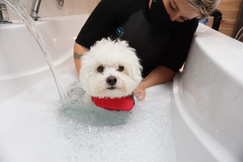 Canine Aquatherapy with Faith | 2836 Holt Rd, Bowmanville, ON L1C 3K4, Canada | Phone: (905) 391-9717