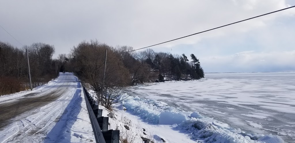 Old Front Road Shingle Beach | 1101-935 Old Front Rd, Kingston, ON K7M 4M2, Canada