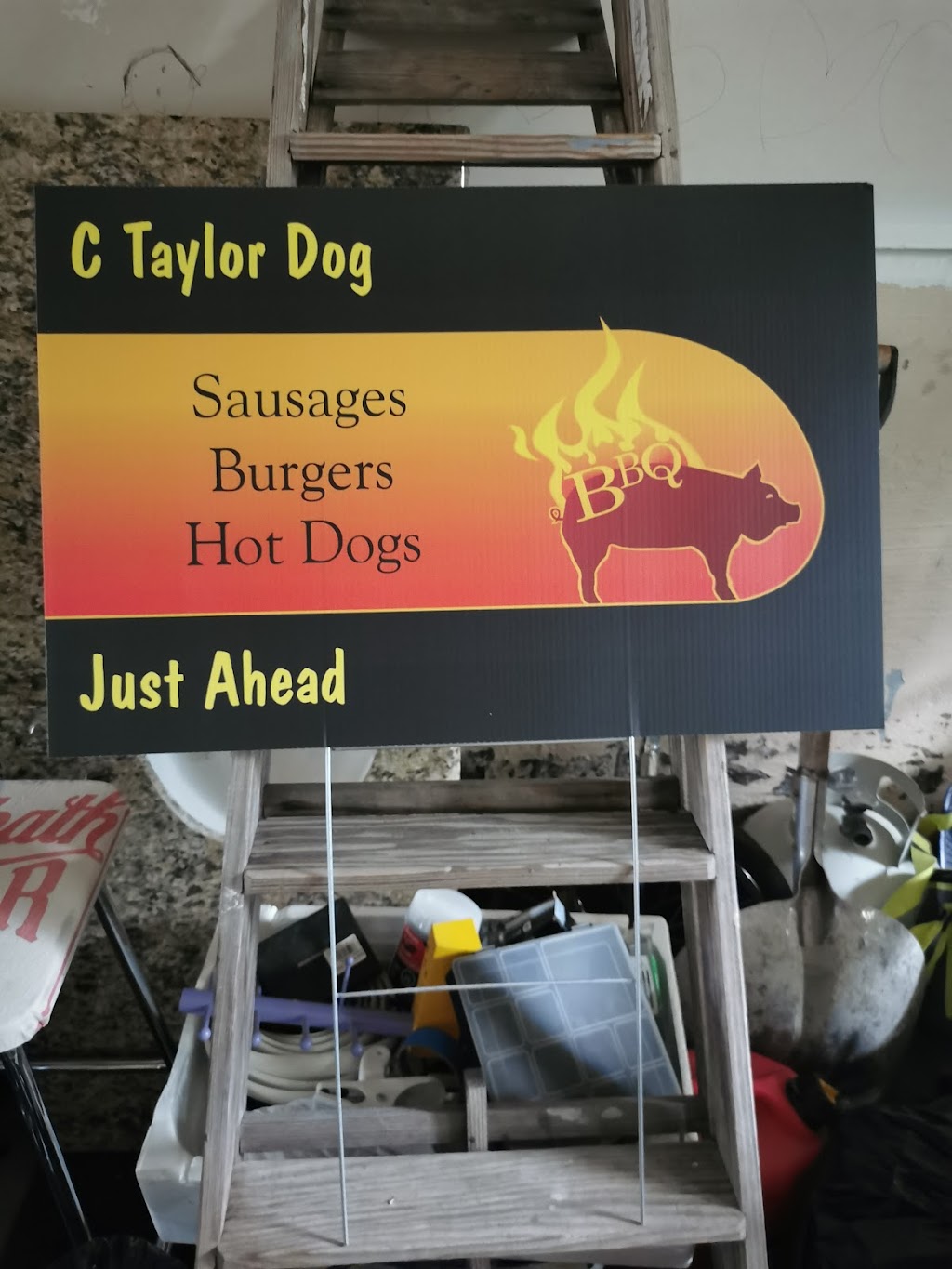C Taylor Dog | 181 Brant Rd, Saint George, ON N0E 1N0, Canada | Phone: (416) 705-3130