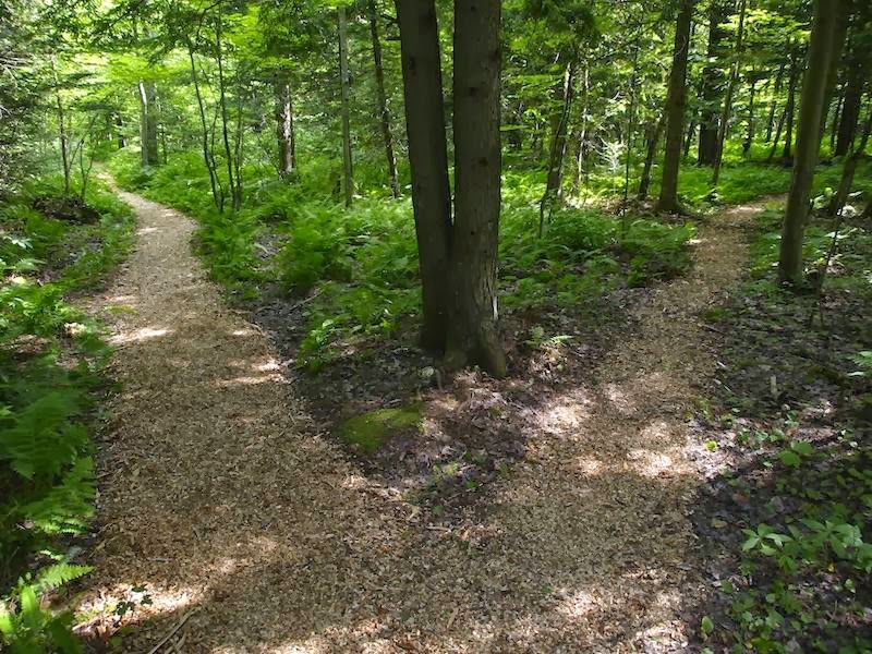 Camping Rustique Au conte Dormant | 53 Rue des Cerfs, Orford, QC J1X 7M3, Canada | Phone: (819) 446-1777