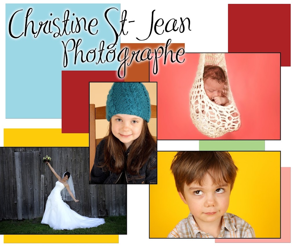 Christine St-Jean Photographe | 2270 Rue Hector-Ledoux, Drummondville, QC J2B 0X7, Canada | Phone: (819) 461-2462