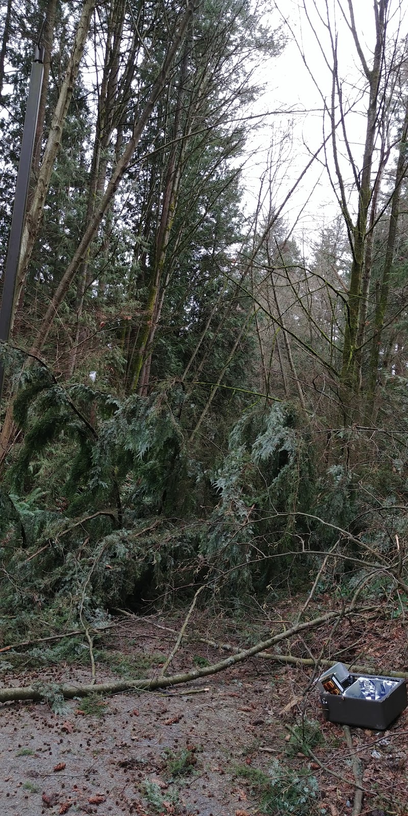 Bryne Creek Urban Trail | Byrne Creek Urban Trail, Burnaby, BC V3N 4W6, Canada