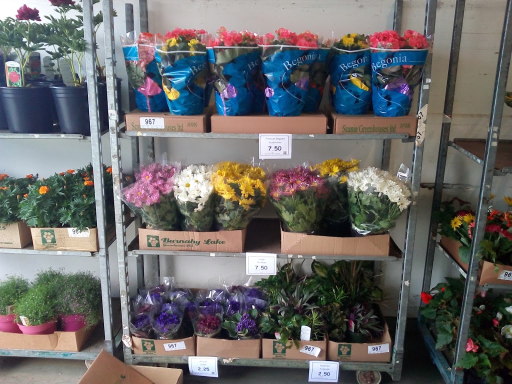 Coleman Flowers | 2075 Henry Ave, Sidney, BC V8L 1T2, Canada | Phone: (250) 655-0906