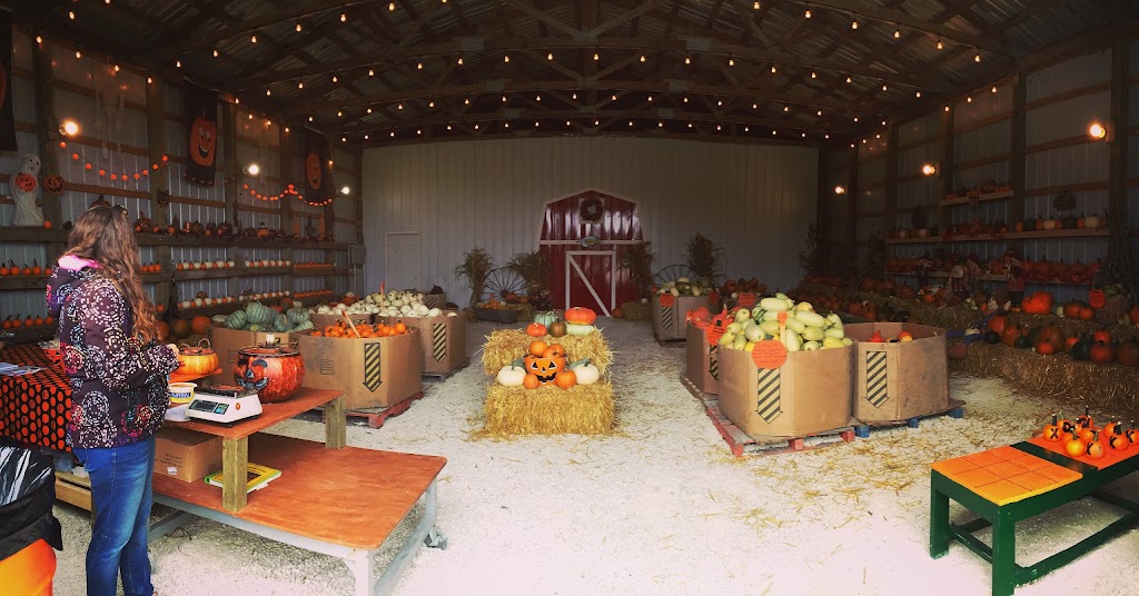 Schwabe Pumpkins | 1160 Meadowdale Rd, Saint Andrews, MB R1A 4H9, Canada | Phone: (204) 296-7215