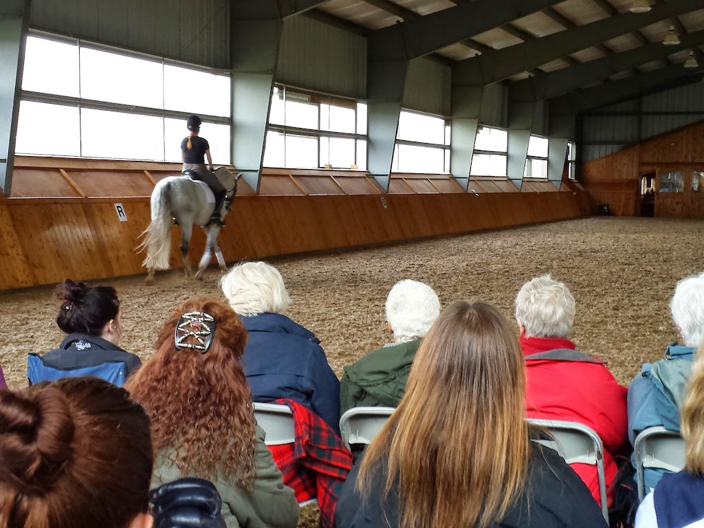 HollyOaks Equestrian Facility | 3517 Powerline Rd W, Lynden, ON L0R 1T0, Canada | Phone: (519) 647-0363