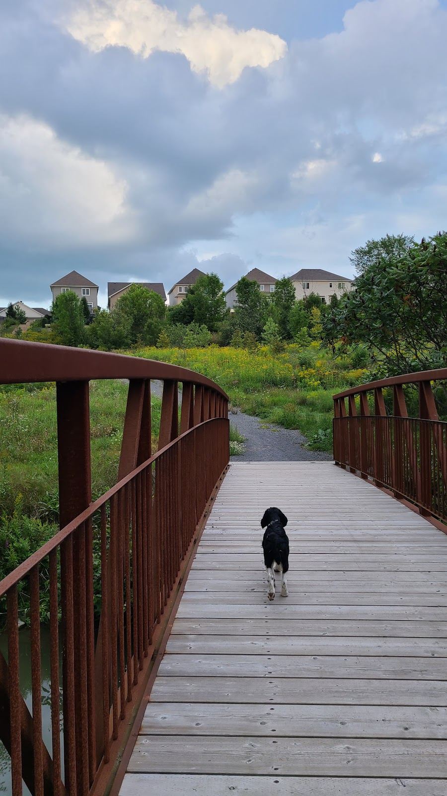 Tamarack Homes - Cardinal Creek Village | 417 Laporte Ave., Orléans, ON K4A 0Y6, Canada | Phone: (613) 830-8467