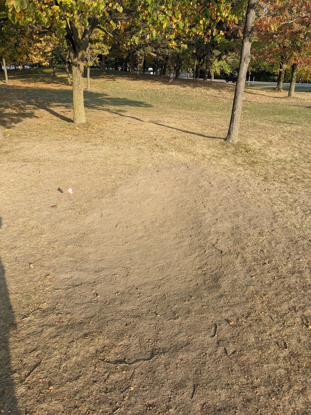 Beaches Disc Golf Course | 10 Ashbridges Bay Park Rd, Toronto, ON M4L 3W6, Canada | Phone: (647) 456-6182