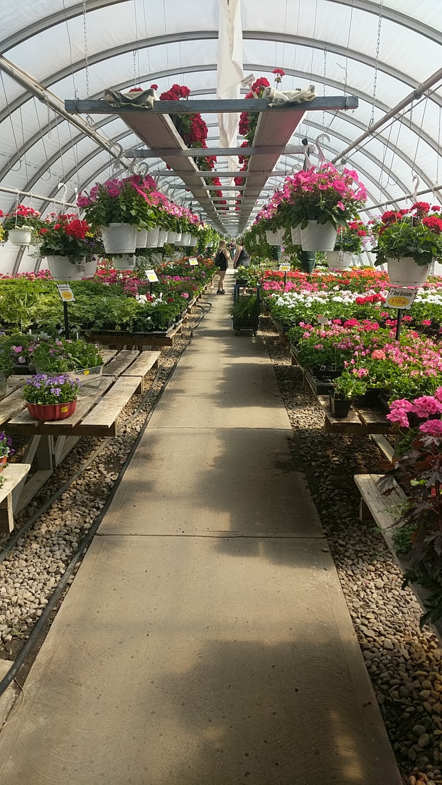 J & C Gardens | 50158 Range Rd 241, Leduc County, AB T4X 0M8, Canada | Phone: (780) 986-2329