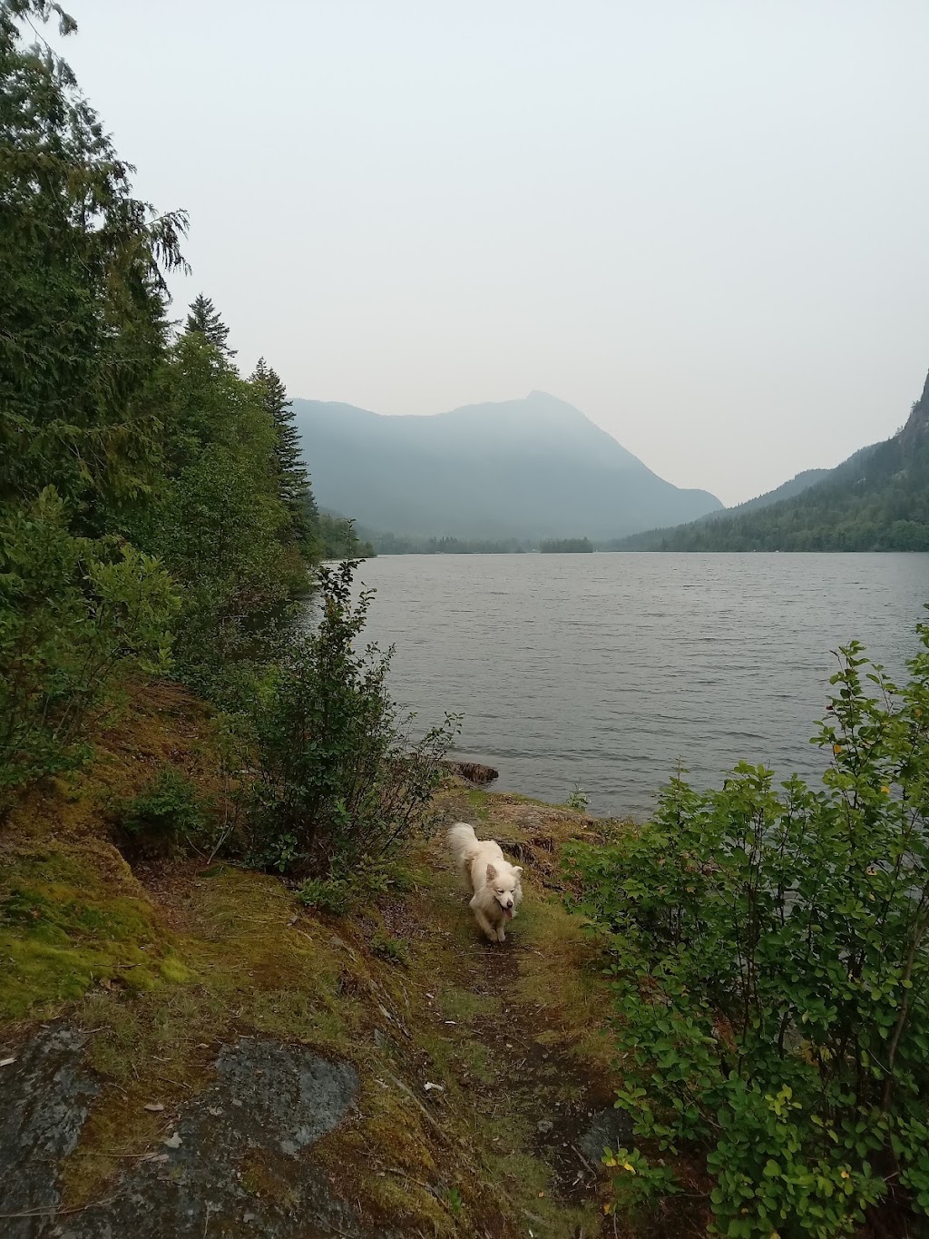 Loch Lomond Rest Area | 1745 Cariboo Hwy, 70 Mile House, BC V0K 2K0, Canada | Phone: (800) 663-7867