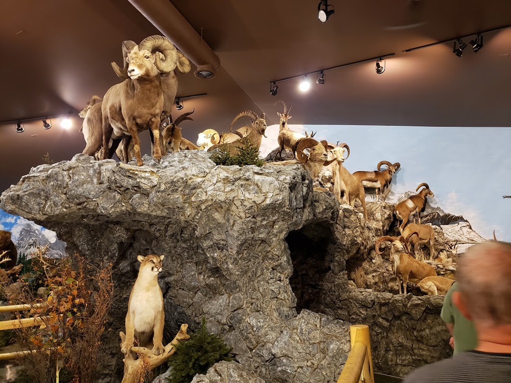 Sundre Museum & Wildlife Exibit | 211 1 Ave SW, Sundre, AB T0M, Canada | Phone: (403) 638-3266
