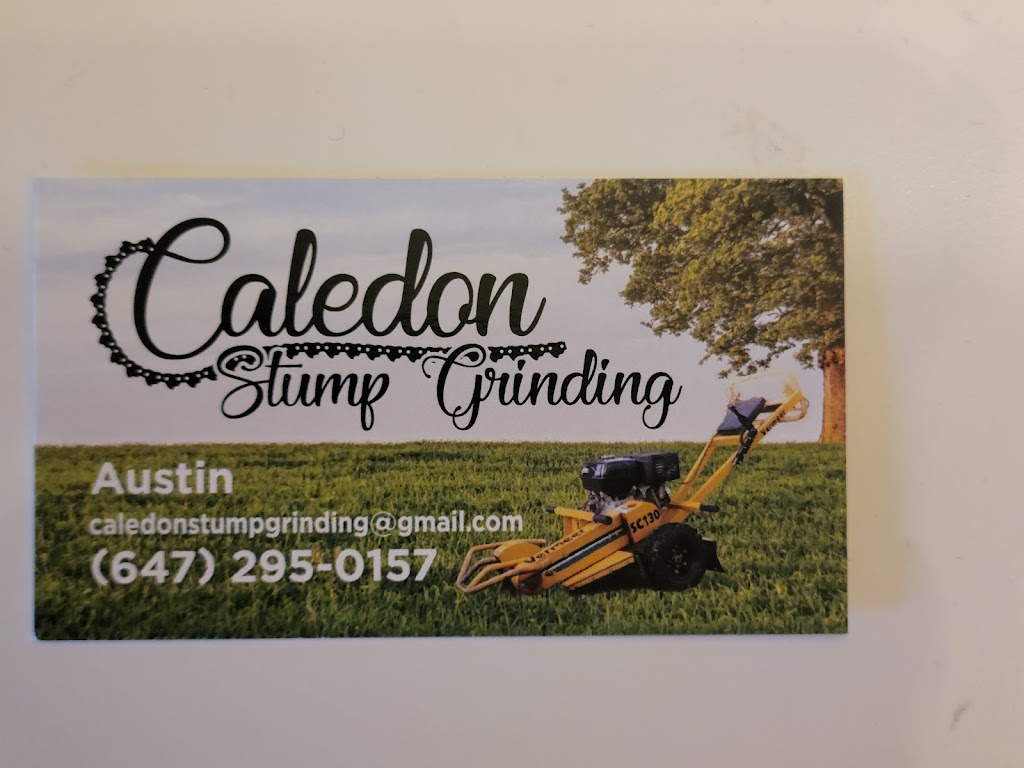 Caledon Stump Grinding | 18314 Humber Station Rd, Caledon, ON L7E 0Z5, Canada | Phone: (647) 295-0157