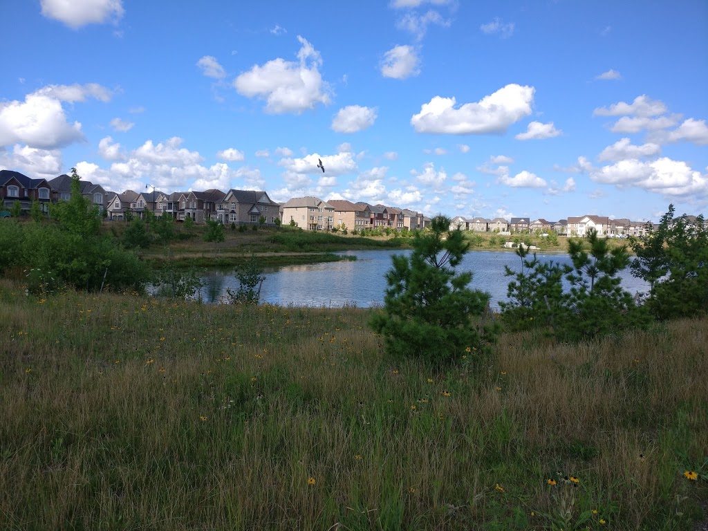 Buick Park And Skatepark | Brampton, ON L7A 0B6, Canada