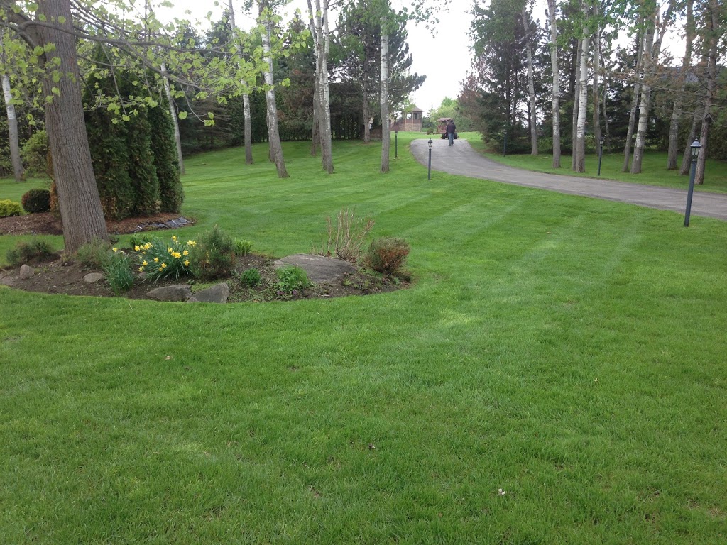 Lawnscape Property Maintenance | Durham Regional Rd 8, Uxbridge, ON L9P 1R1, Canada | Phone: (905) 852-4378