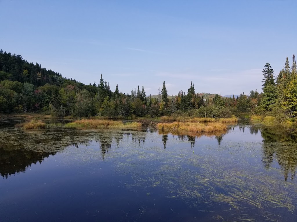 Marais du Nord (Les) | 1100 Chemin de la Grande Ligne, Stoneham-et-Tewkesbury, QC G3C 0Y1, Canada | Phone: (418) 841-4629