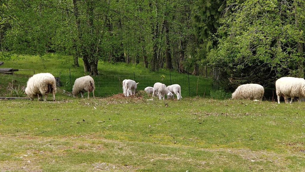 O.U.R. Ecovillage | 1565 Baldy Mountain Rd, Shawnigan Lake, BC V0R 2W2, Canada | Phone: (250) 743-3067