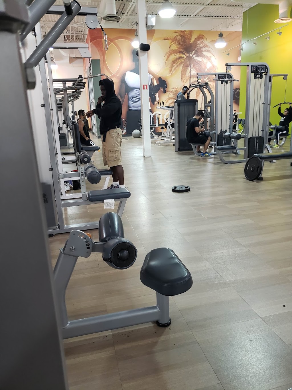 LA Fitness | 539 Steeles Ave E, Brampton, ON L6W 4S2, Canada | Phone: (905) 452-7800