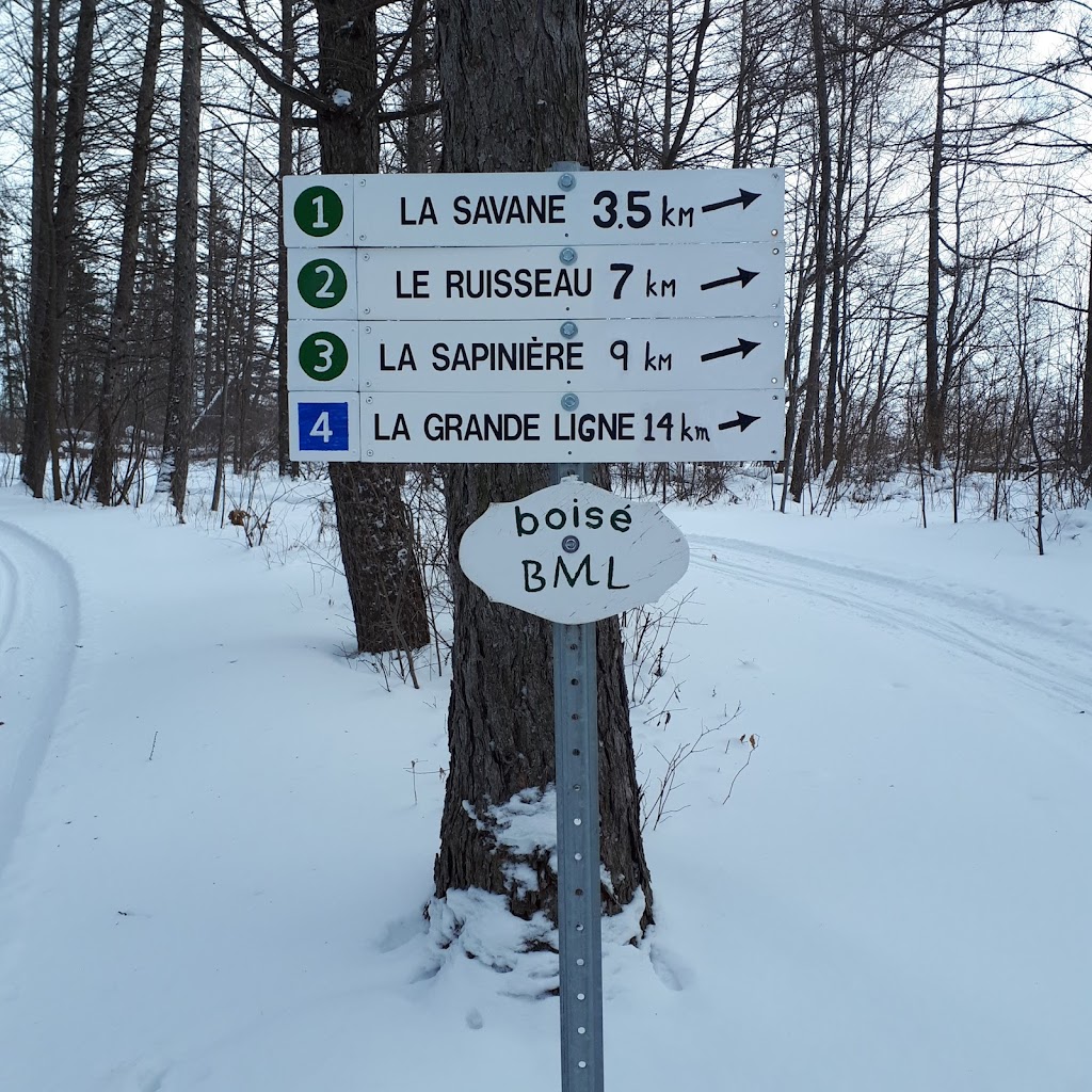 Sentiers de ski de fond Pierre Harvey | 1376 Rue des Érables, Saint-Lambert-de-Lauzon, QC G0S 2W0, Canada | Phone: (418) 889-1963