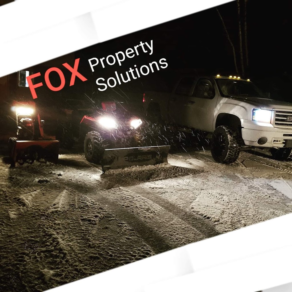 Fox Property Solutions | 586 Frankford Stirling Rd, Frankford, ON K0K 2C0, Canada | Phone: (613) 243-4426