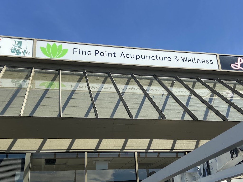 Fine Point Acupuncture & Wellness | 6350 120 St Unit 133, Surrey, BC V3X 3K1, Canada | Phone: (604) 591-0203