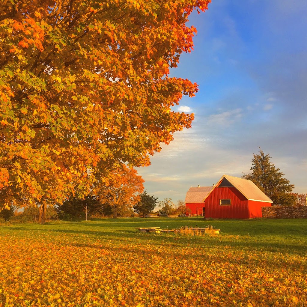 Big Red Barn Farmhouse | 132 McKinley Crossroad, Picton, ON K0K 2T0, Canada | Phone: (416) 704-8817