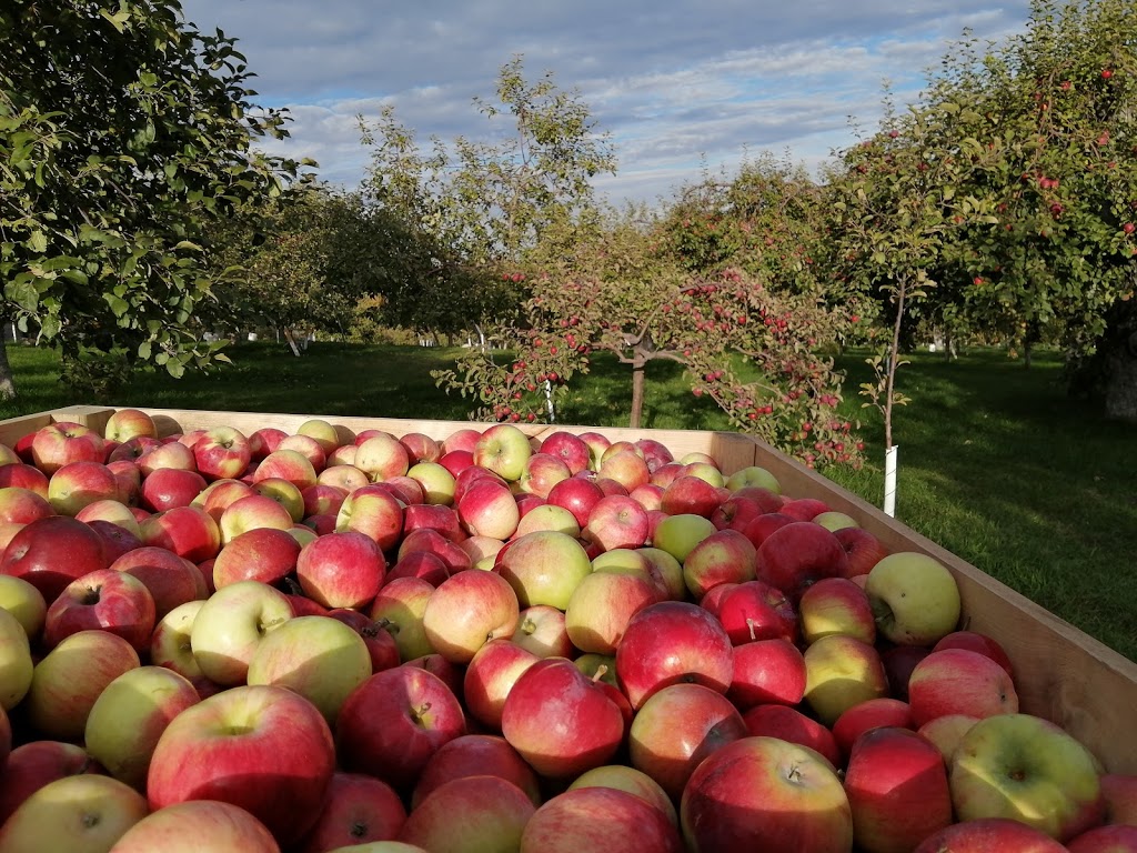 Les Domaines Roka | 2 Chemin du Sous-Bois, Mont-Saint-Grégoire, QC J0J 1K0, Canada | Phone: (514) 804-6450