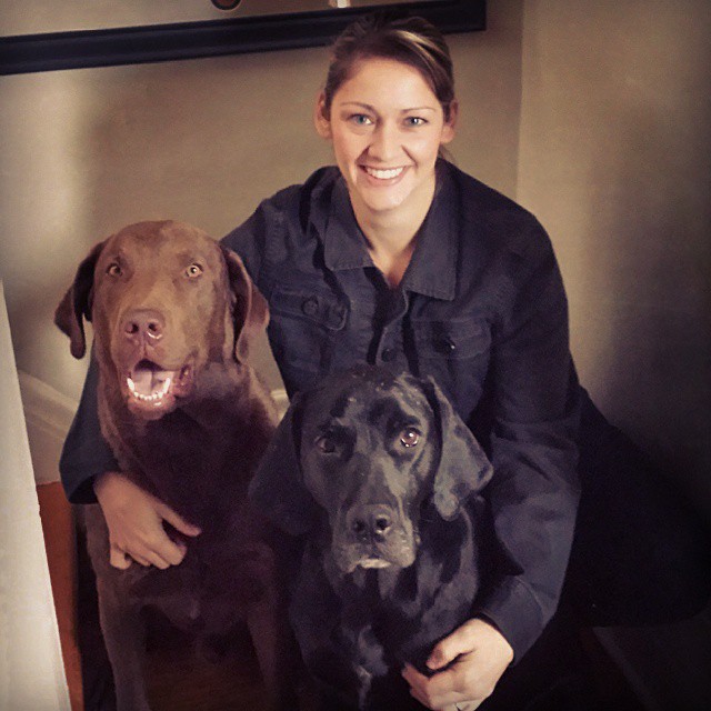 Animal Care: Chiropractic & Communication with Dr. Angela Martin-King | 203 John St, Stayner, ON L0M 1S0, Canada | Phone: (705) 888-1114