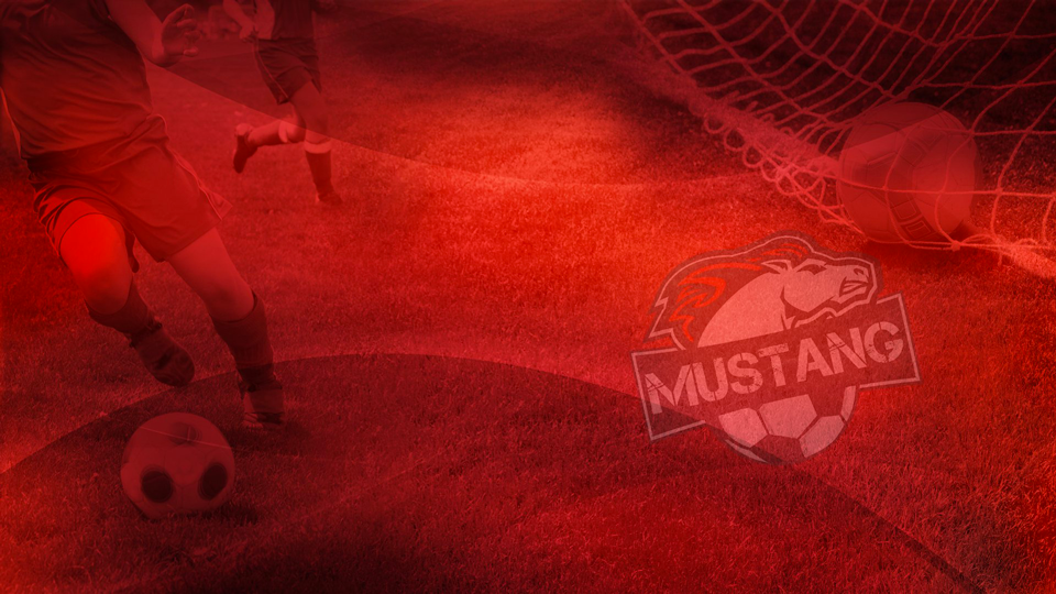 club de soccer Mustang Pont-rouge | 189 Rue Dupont, Pont-Rouge, QC G3H 1N4, Canada | Phone: (418) 873-2817