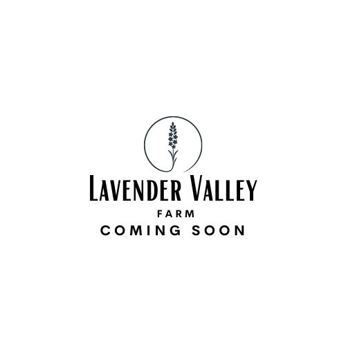 Lavender Valley Farm | 5505 6 Line, Cookstown, ON L0L 1L0, Canada | Phone: (647) 968-6291