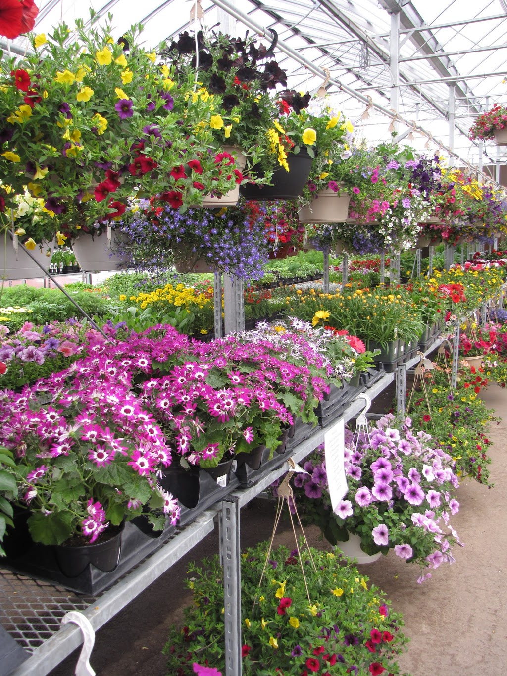 Garden Scents Garden Center Ltd | 234011 Range Rd 284, Rocky View No. 44, AB T1X 0J9, Canada | Phone: (403) 234-9190